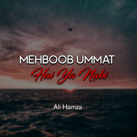 Mehboob Ummat Hai Ya Nabi | Boomplay Music