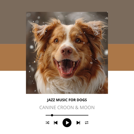 Paws in the Pocket | Boomplay Music