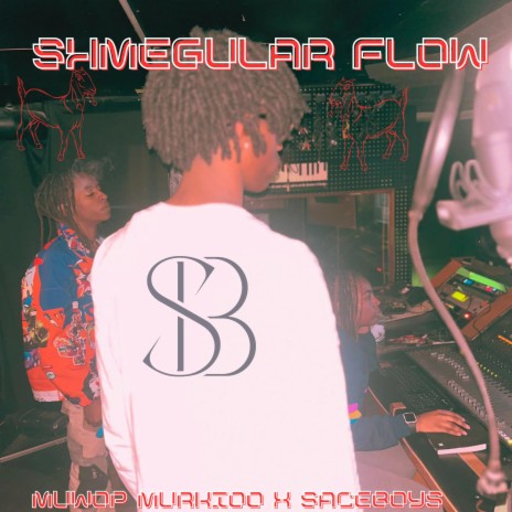 Shmegular Flow ft. $aceboys | Boomplay Music