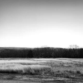 blood in the creekbed, hair in the tallgrass, a breath on the wind