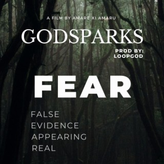 FEAR False Evidence Appearing Real