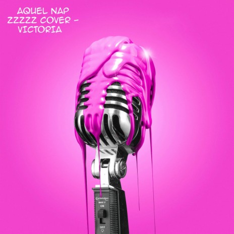 Aquel nap zzzz cover | Boomplay Music