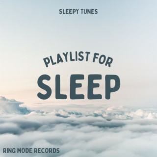 Playlist For Sleep