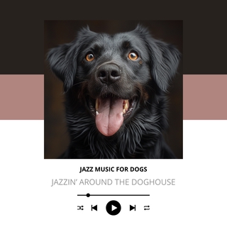 Jazzin’ Around the Doghouse