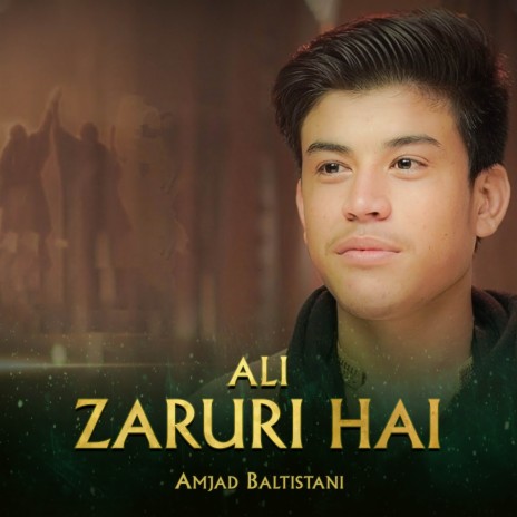 Ali Zaruri Hai | Boomplay Music