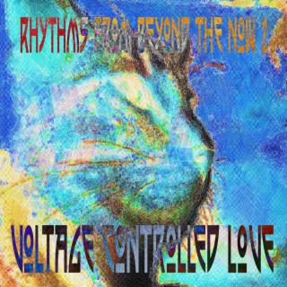 Rhythms From Beyond The Now 2