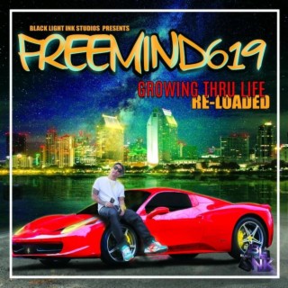 FreeMind619