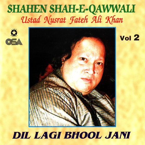 Tumhen Dillagi Bhool Jani Paregee | Boomplay Music