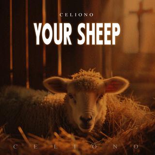 Your Sheep