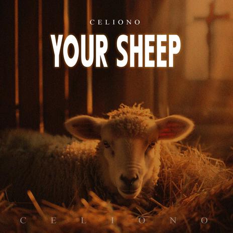 Your Sheep | Boomplay Music