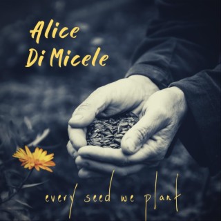 Alice Di Micele