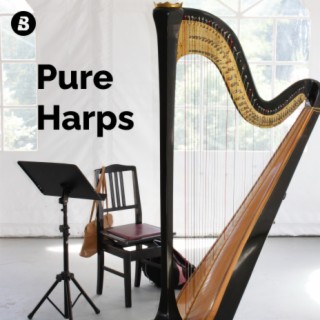 Pure harp music for your sleep everyday