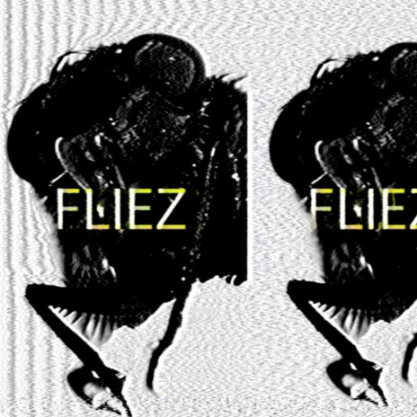 fliez