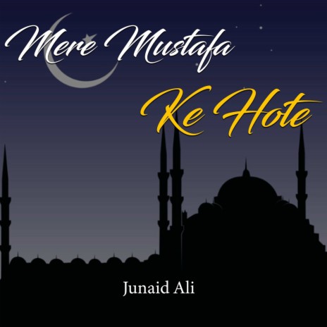 Mere Mustafa Ke Hote | Boomplay Music