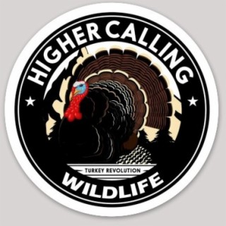 Eastern Wild Turkey Aware (PSA)