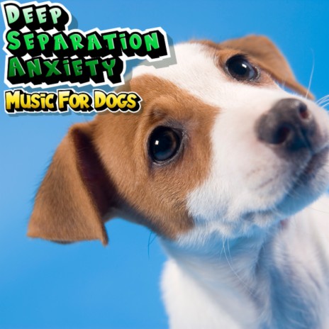 Sounds for Dog ft. Lullabies For Anxious & Stressed Dogs & Dog Relaxation &  Stress Relief - Deep Separation Anxiety Music For Dogs MP3 download | Sounds  for Dog ft. Lullabies For