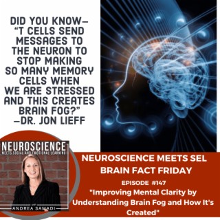 Brain Fact Friday on "Improving Mental Clarity by Understanding our Brain States, Brain Fog, and How It's Created"