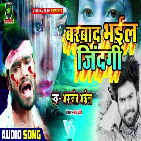 Barbad Bhail Zindagi | Boomplay Music