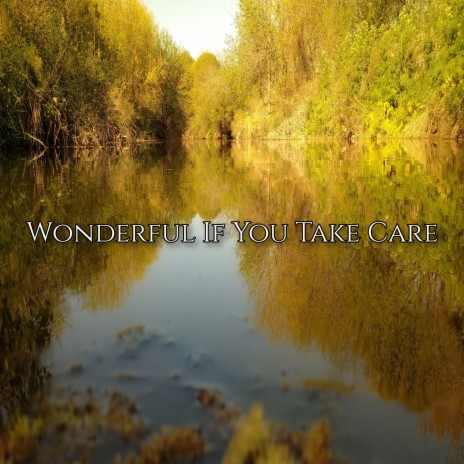 Wonderful If You Take Care | Boomplay Music