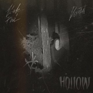 Hollow ft. Drisket lyrics | Boomplay Music