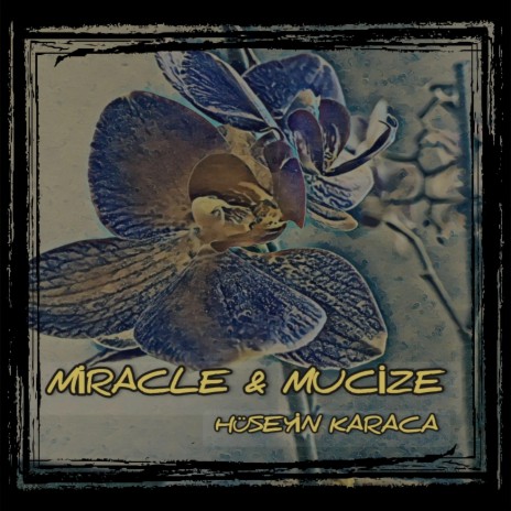 Miracle & Mucize | Boomplay Music