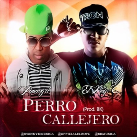 Perro Callejero | Boomplay Music