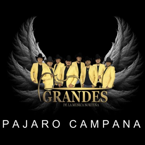 HUAPANGO PAJARO CAMPANA | Boomplay Music