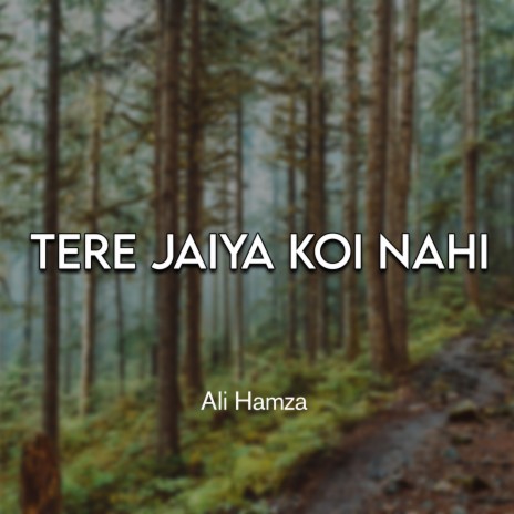 Tere Jaiya Koi Nahi | Boomplay Music