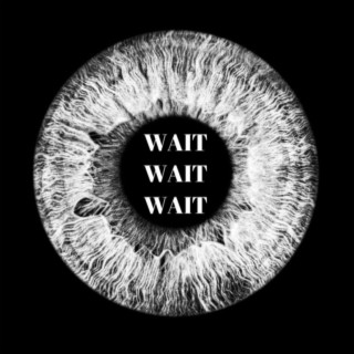 WAIT WAIT WAIT lyrics | Boomplay Music