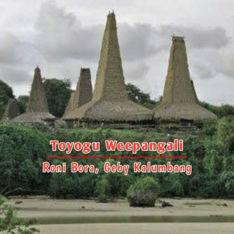 Toyogu Weepangali