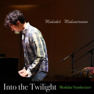 Into the Twilight (Solo Electronic)