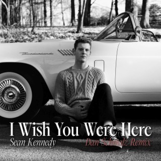 I Wish You Were Here (Dan Schmalz Remix)