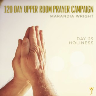 Day 29 Holiness