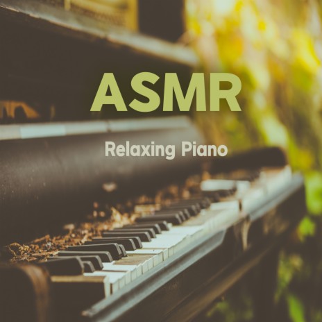 그리그 : 숲속의 적막 (피아노) (밤소리 ASMR)