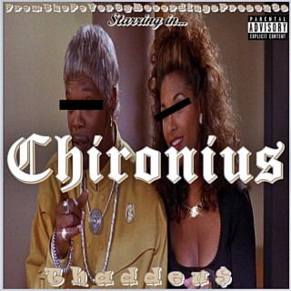 Chironius