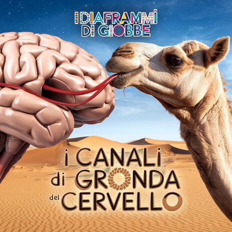 I CANALI DI GRONDA DEL CERVELLO | Boomplay Music