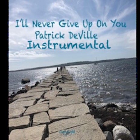 I'll Never Give Up On You (Instrumental) | Boomplay Music
