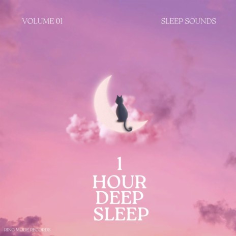 1 Hour Deep Sleep Vol.1