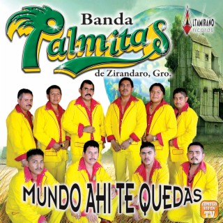 Banda Las Palmitas De Zirandaro Guerrero