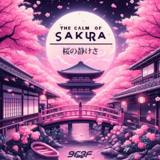 The calm of sakura
