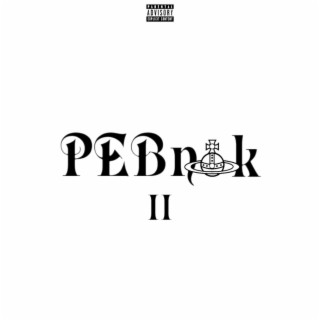 PEBnok 2