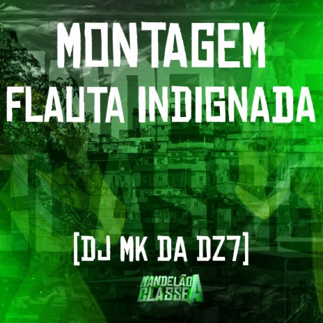 Montagem - Flauta Indignada | Boomplay Music