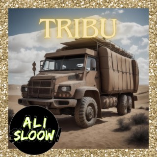 Tribu