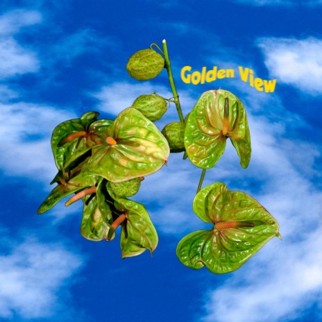 Golden View | Boomplay Music