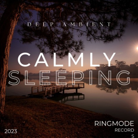 Calmly Sleeping | Boomplay Music