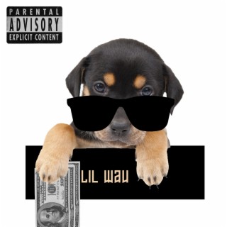 Lil Wauu| Malianteo