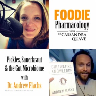 Pickles, Sauerkraut  & the Gut Microbiome with  Dr. Andrew Flachs