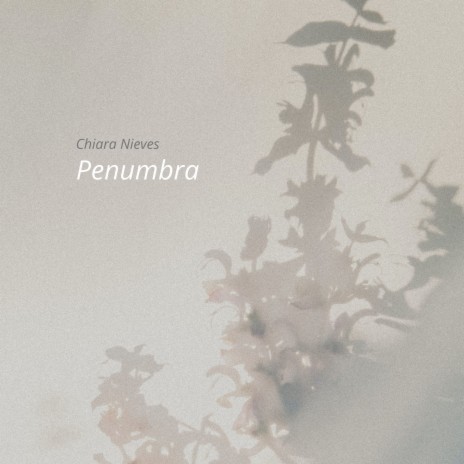 Penumbra | Boomplay Music