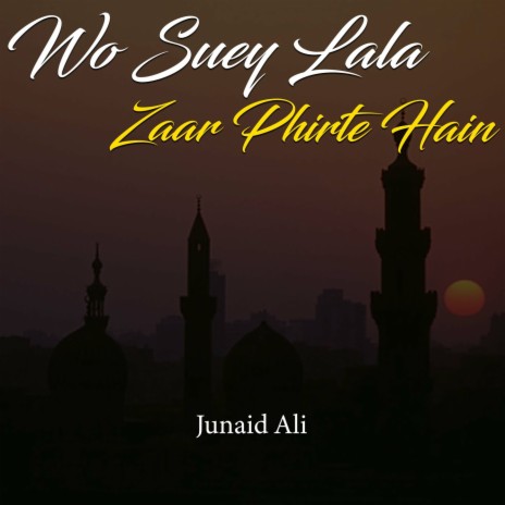 Wo Suey Lala Zaar Phirte Hain | Boomplay Music