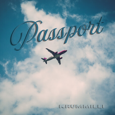 Passport | Boomplay Music